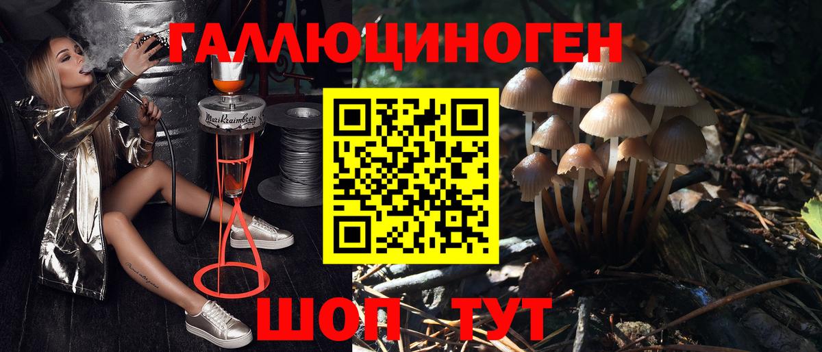 Галлюциногенные грибы мухоморы  Вход с VPN  Нижний Новгород 