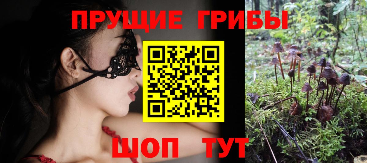Псилоцибиновые грибы Cubensis Нижний Новгород