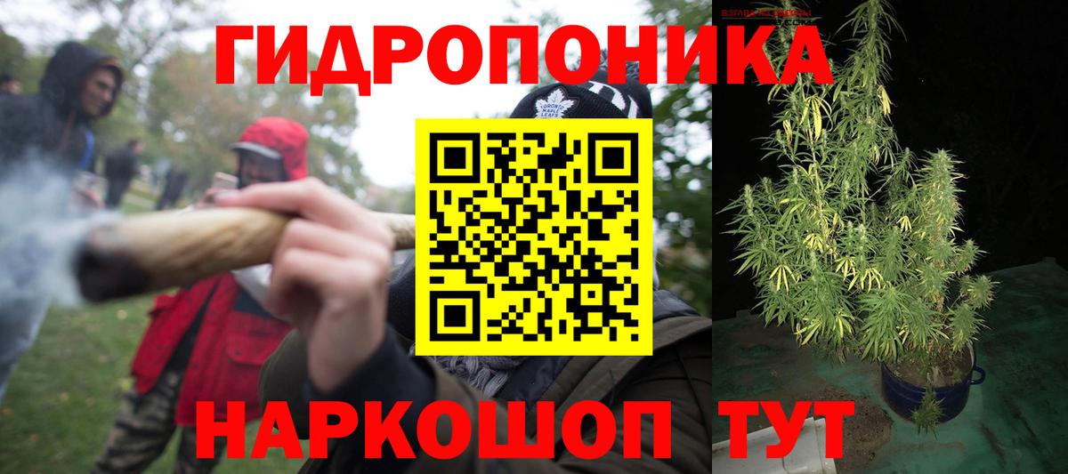 Бошки Шишки планчик  Вход с VPN  Марихуана OG Kush  Каннабис Ganja  Нижний Новгород 